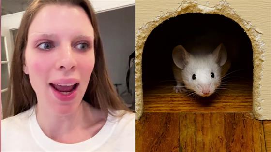 Julia Fox Reveals Mouse Problem in TikTok Apartment Tour - E! Online